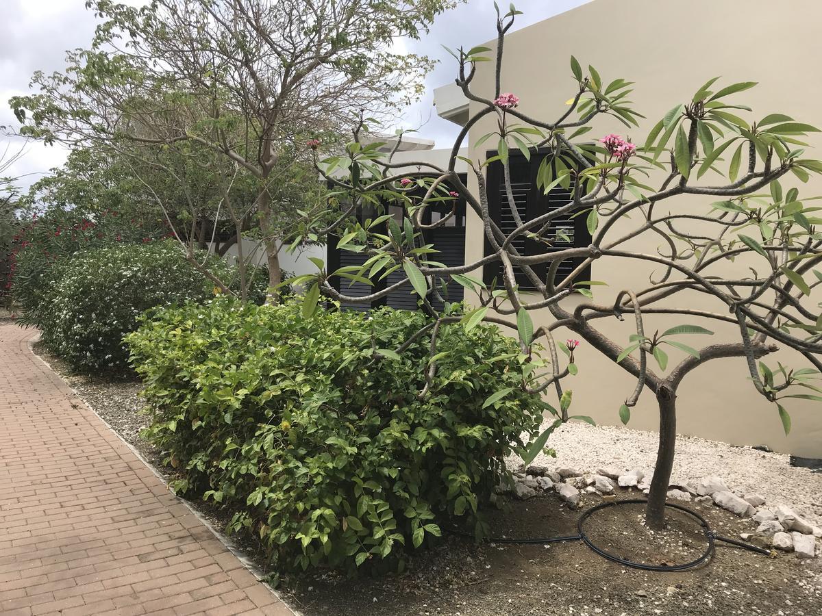 Blue Bay Resort Garden Sint Michiel ภายนอก รูปภาพ